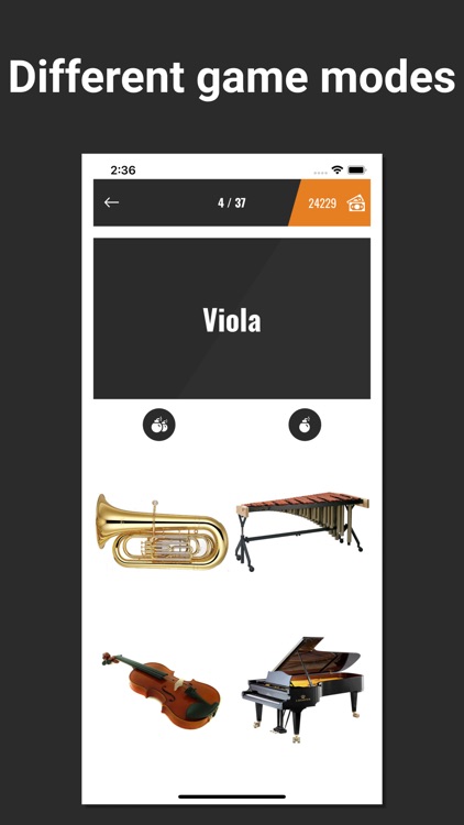 Quiz: Musical Instruments screenshot-3