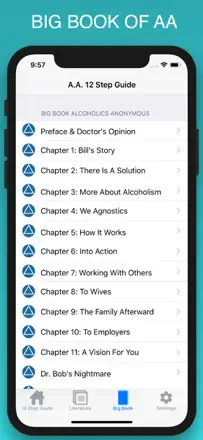 12 Steps Guide: Screenshot 3 von 5