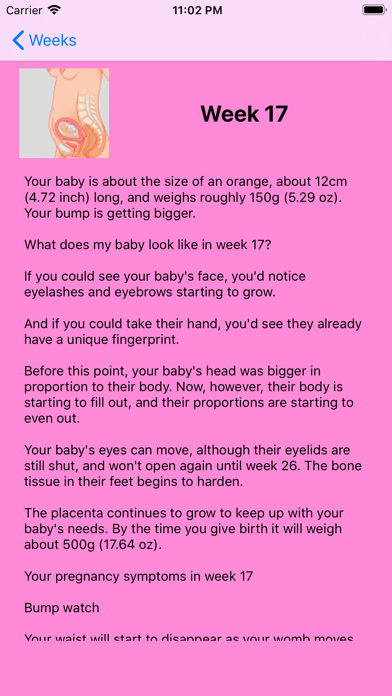 Screenshot #1 pour Pregnancy Info Week by Week