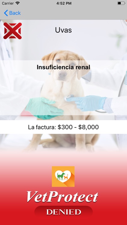 VetProtect screenshot-8