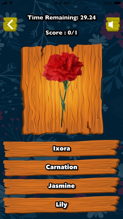 Learn FLowers Vegetables screenshot-3