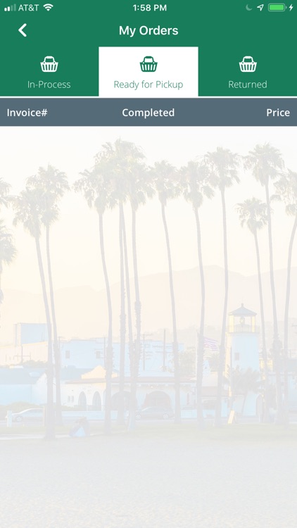 Eco Friendly Cleaners