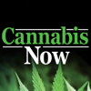 Cannabis Now - Magazinecloner.com US LLC