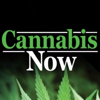 Cannabis Now