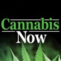Cannabis Now app download