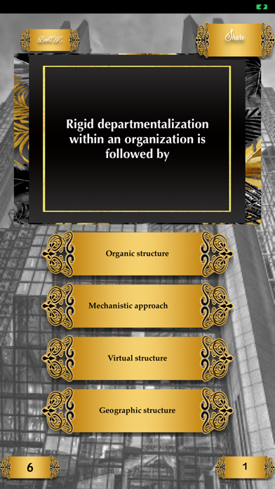 Organizational Structure Quizz screenshot 3