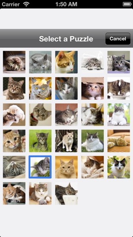 Cat Puzzlesのおすすめ画像3