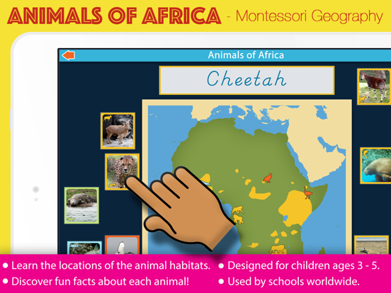 Screenshot #4 pour Montessori Animals of Africa