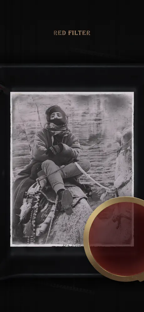 FIMO 1903