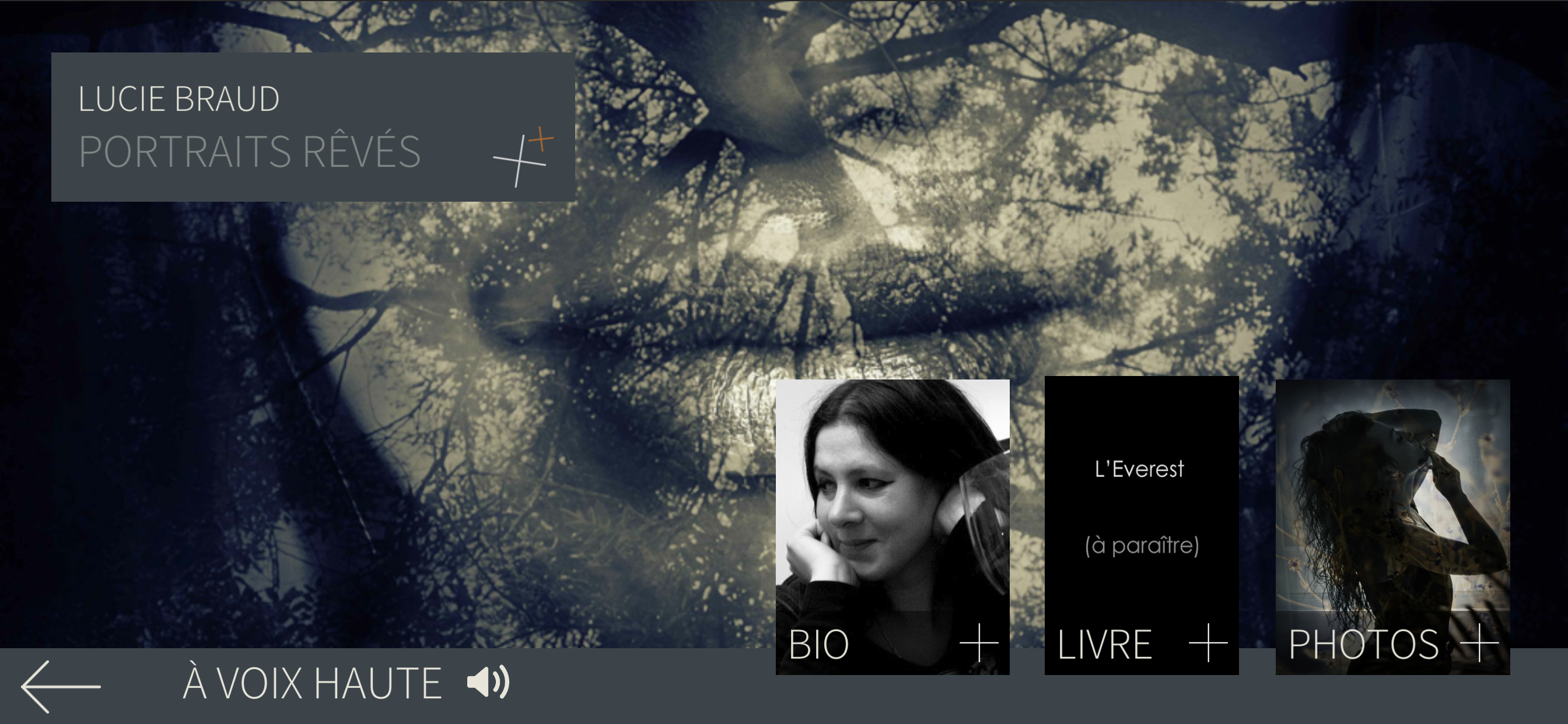 Portraits rêvés screenshot 3