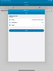 hp advance айпад изображения 2