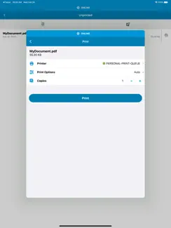 HP Advance iPad image 2