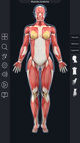 My Muscle Anatomyのおすすめ画像3