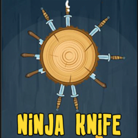 Ninja Knife Hit Game