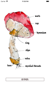 Snout: Mushroom Identification screenshot