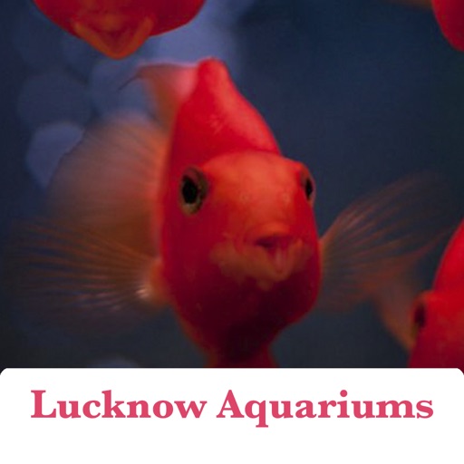 Lucknow Aquariums