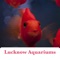 Lucknow Aquariums App provides the collection of the Aquariums of Lucknow City in India