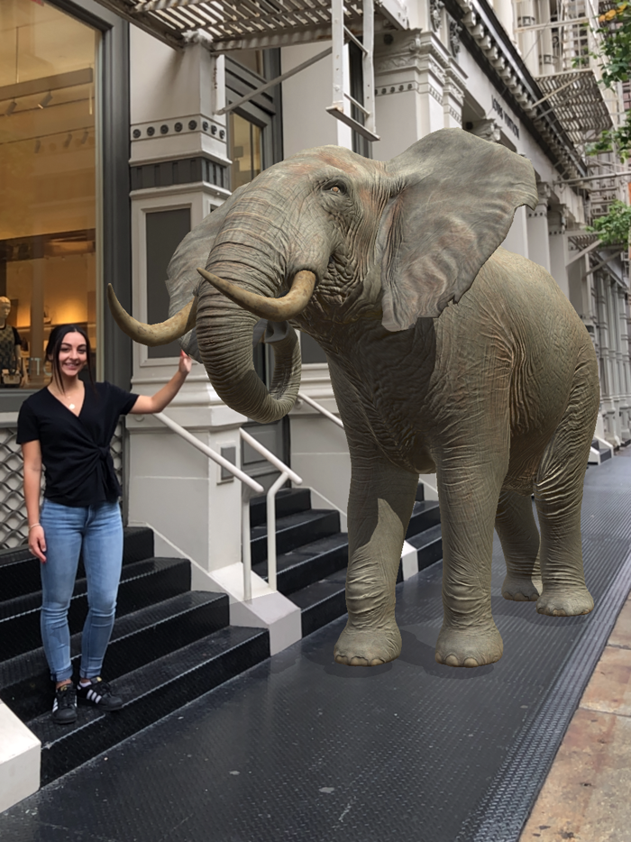 Chantecaille Wild Beauty