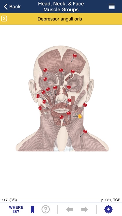 AnatomyMapp Lite screenshot-4