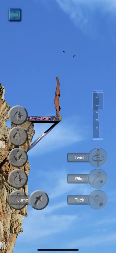 Cliff Diving Champ