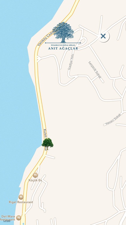 Anıt Ağaçlar - Anadolu screenshot-4