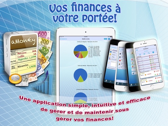 Screenshot #4 pour aMoney L - Gestion de l'argent