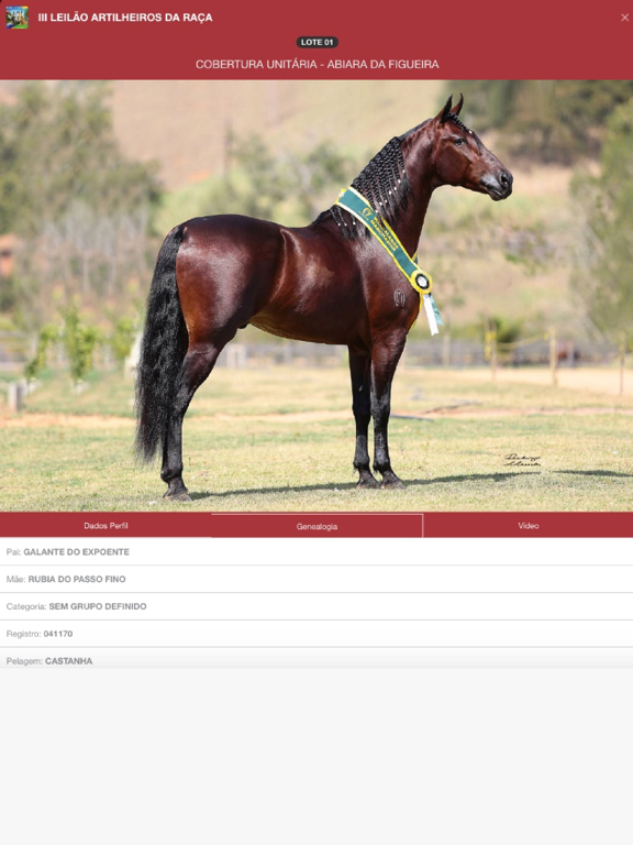 Screenshot #4 pour AGM Leilões