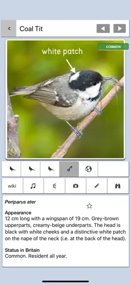 Game screenshot Birds of Britain Pocket Guide apk
