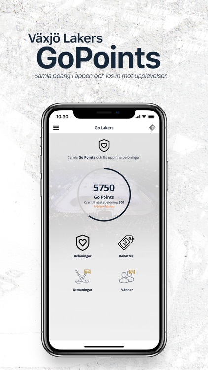 Växjö Lakers screenshot-4
