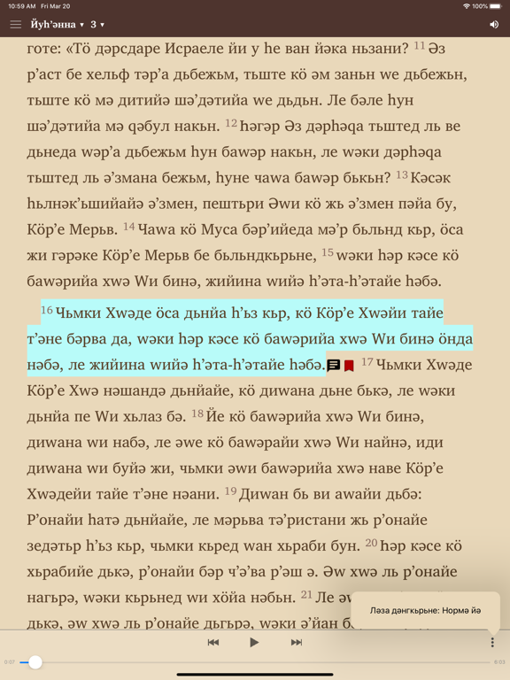 Ньвисаред Пироз iPad screenshot