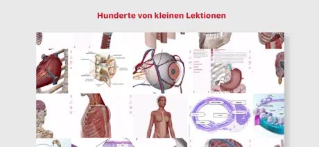 Anatomie & Physiologie