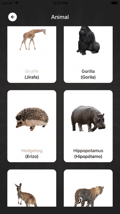 Spanish Learning screenshot-4