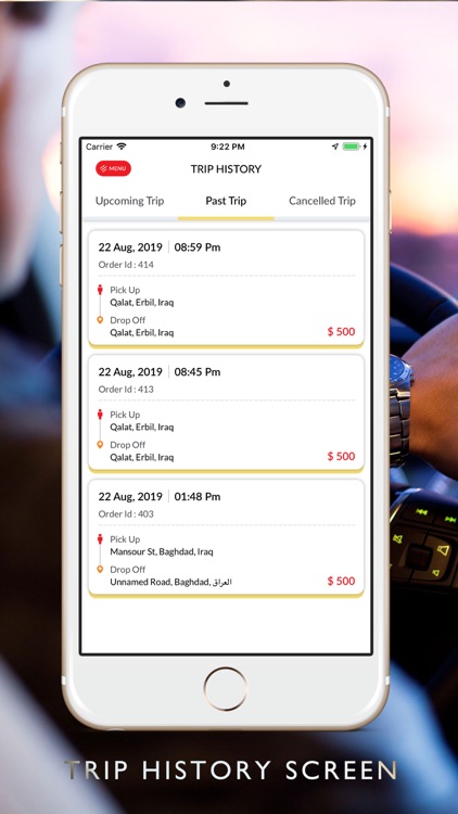 Take Me Driver screenshot-4