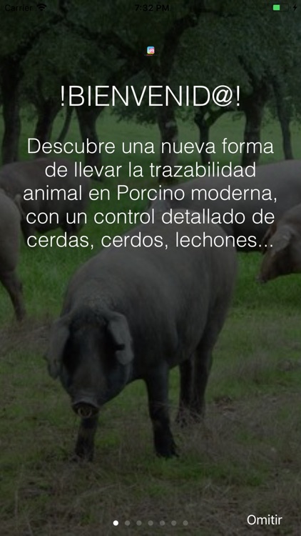 BioPorcinoMobile screenshot-3