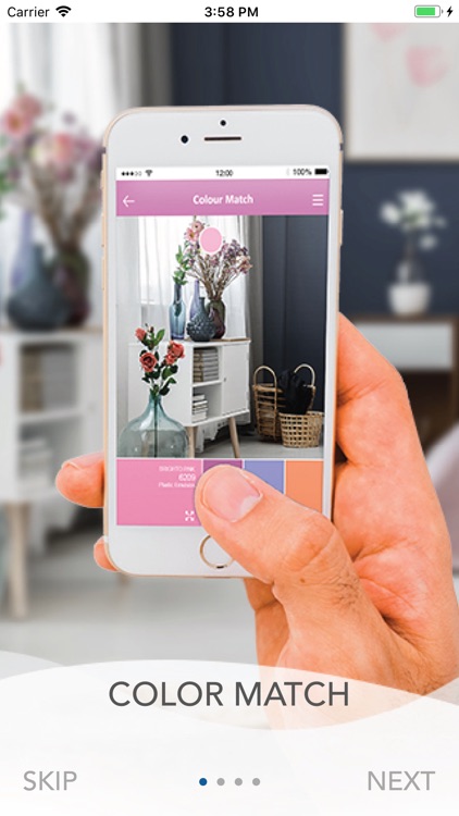 Brighto Color Studio