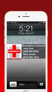 ice (in case of emergency) pro iphone screenshot 1