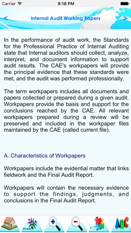 Internal Audit Manual screenshot-4
