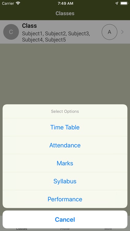 Unique Public School