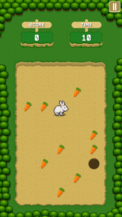Screenshot #3 pour Race for the Veggies