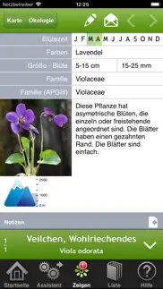 iblumen iphone bildschirmfoto 2