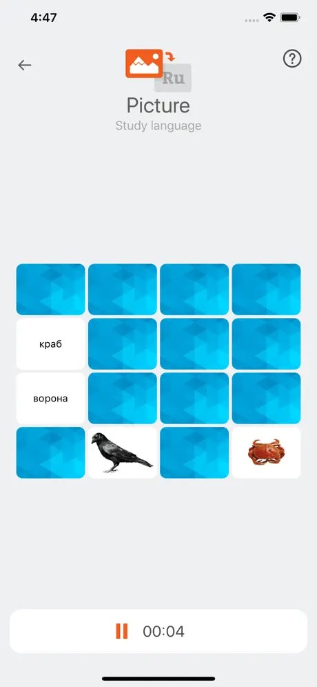 Find a Pair - Play and Learn