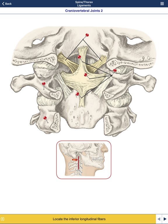 AnatomyMappのおすすめ画像5