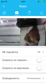 GreenCam screenshot