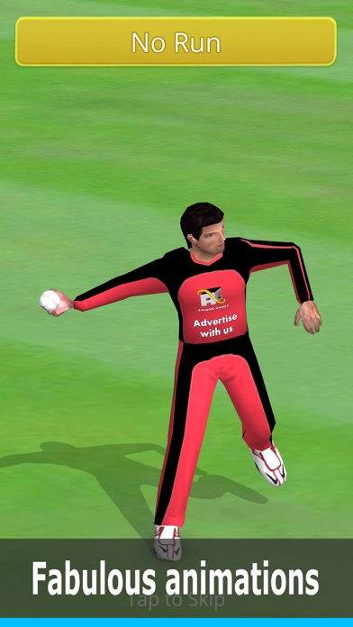 Smashing Cricket: cricket game Screenshot