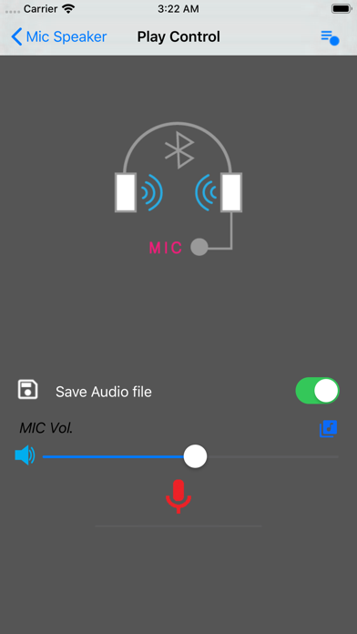 Mic Speaker screenshot 2