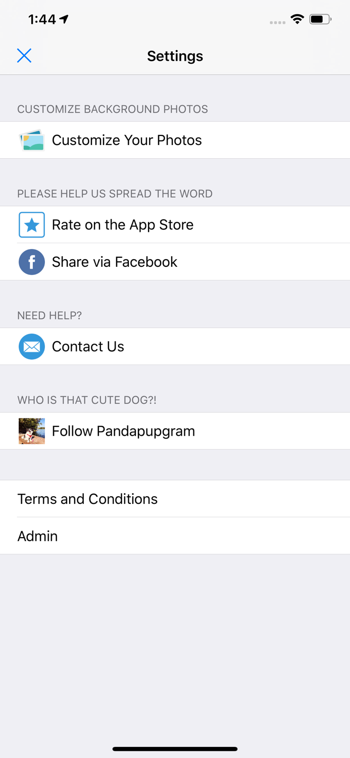 Hurricane Tracker Weather Pup