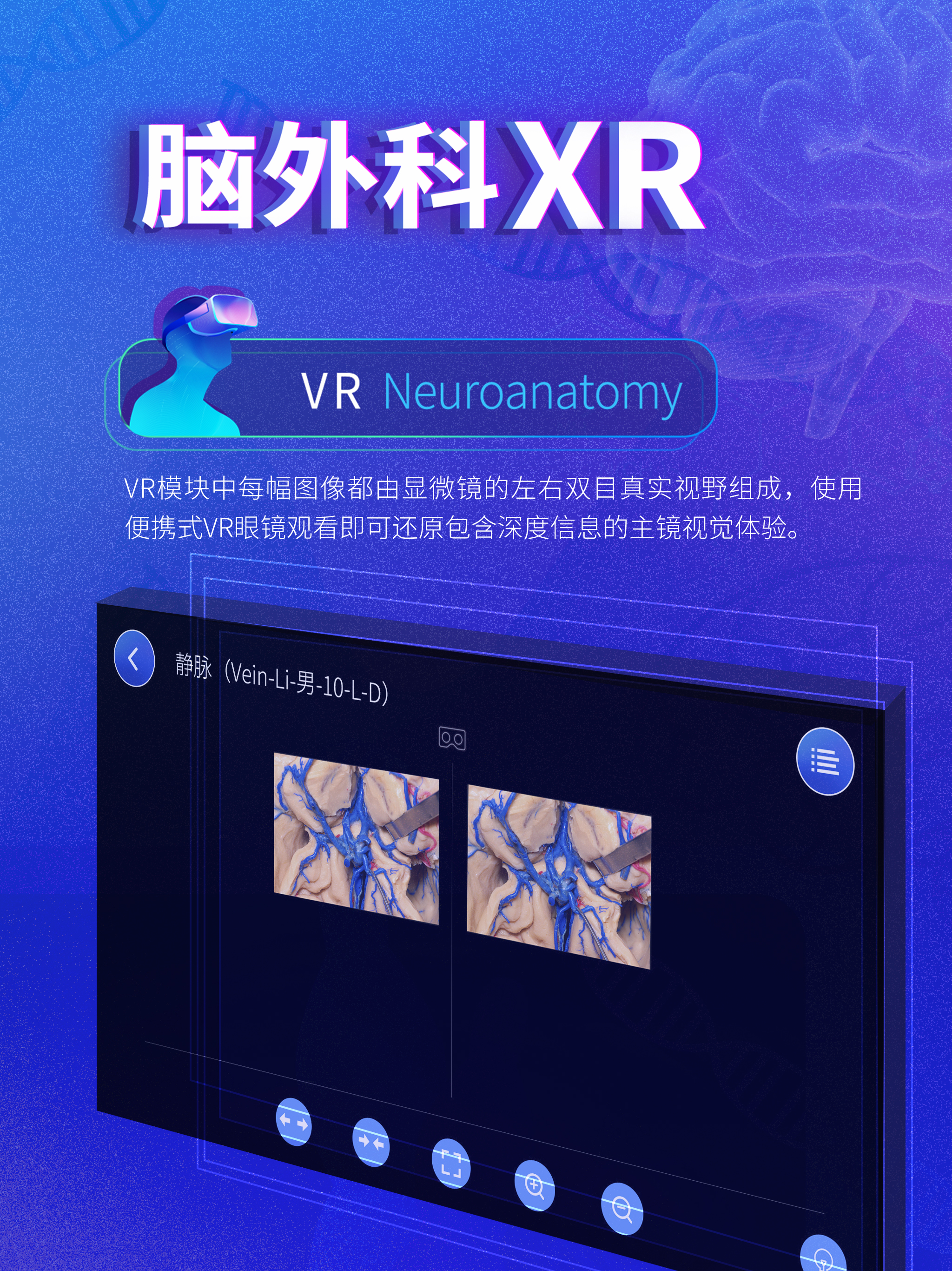 脑外科XR