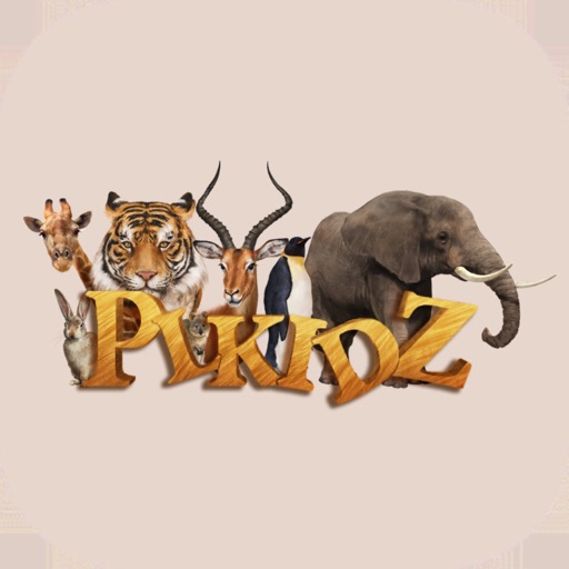 Plkidz By Pl4d Llc