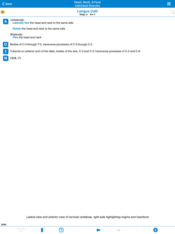 AMTA Massage Anatomy Guide iPad screenshot 6 - Medical app