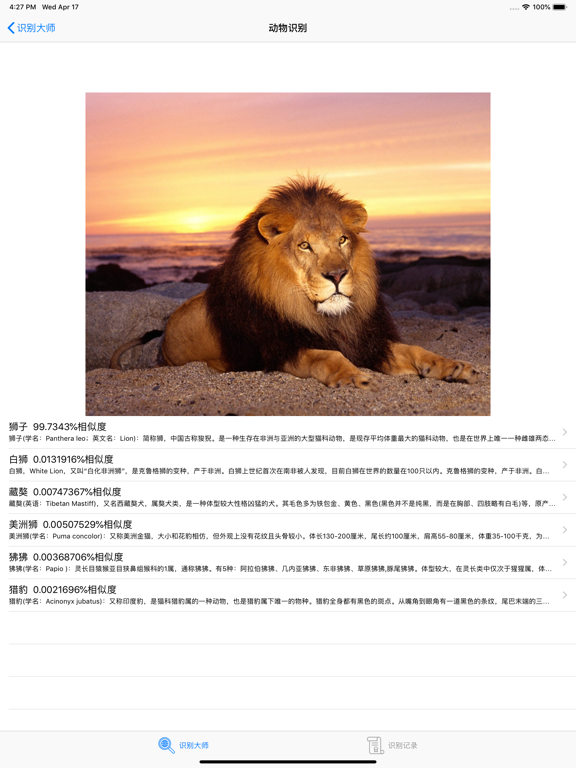 Photo Recognition Master